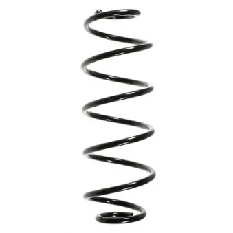 Ressort de suspension SPIDAN OEM 5102J7