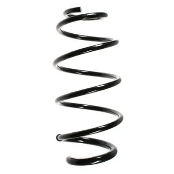 Ressort de suspension SPIDAN OEM 312172