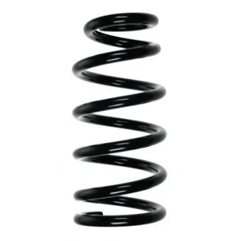 Ressort de suspension SPIDAN OEM 52441SKNG01