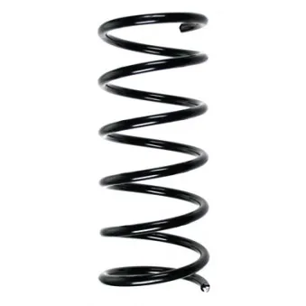 Ressort de suspension SPIDAN OEM 5463005300