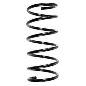 Ressort de suspension SPIDAN OEM 546301C201