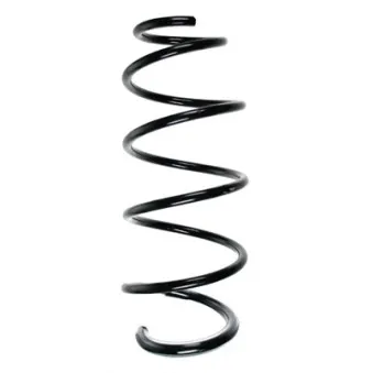 Ressort de suspension SPIDAN OEM 1693211704