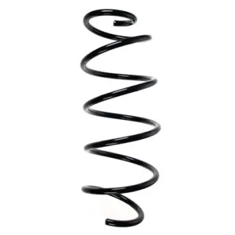 Ressort de suspension SPIDAN OEM 1693212804