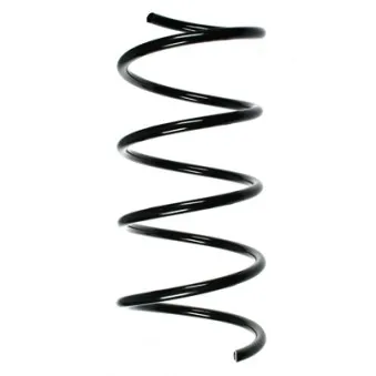 Ressort de suspension SPIDAN OEM 2033214804