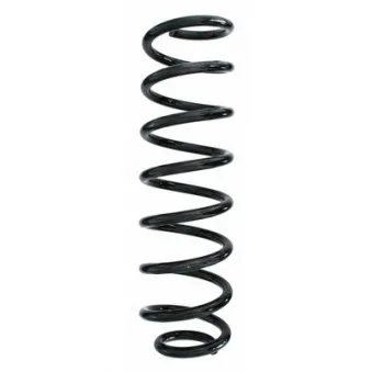 Ressort de suspension SPIDAN 85209