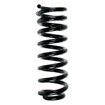 Ressort de suspension SPIDAN OEM 1643240404