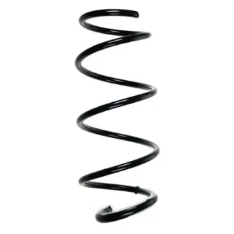 Ressort de suspension SPIDAN OEM 54010AX602