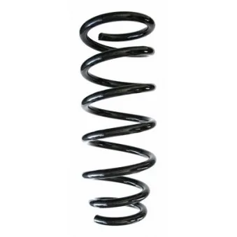 Ressort de suspension SPIDAN OEM 55020AV710