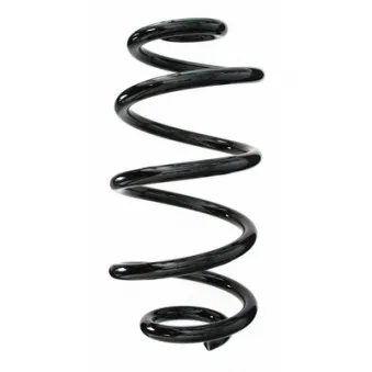 Ressort de suspension SPIDAN OEM 55020JD02A
