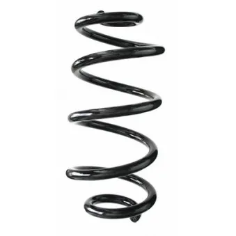 Ressort de suspension SPIDAN OEM 55020JD62A