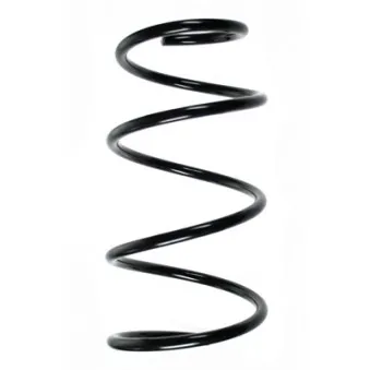 Ressort de suspension SPIDAN OEM 4813105730