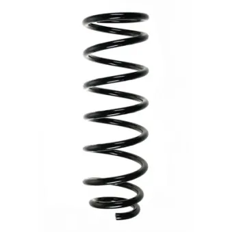 Ressort de suspension SPIDAN OEM 4823102480