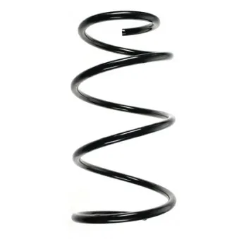 Ressort de suspension SPIDAN OEM 481311N550
