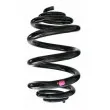SPIDAN 85522 - Ressort de suspension