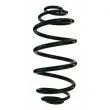 SPIDAN 85772 - Ressort de suspension