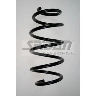 SPIDAN 85866 - Ressort de suspension