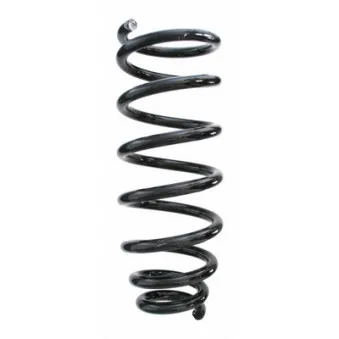 Ressort de suspension SPIDAN OEM 546503K650