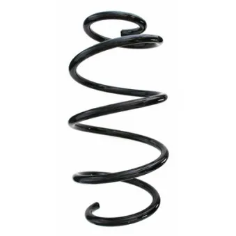 Ressort de suspension SPIDAN OEM 546302Y300