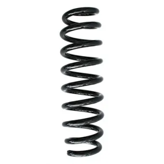 Ressort de suspension SPIDAN OEM 33536764391