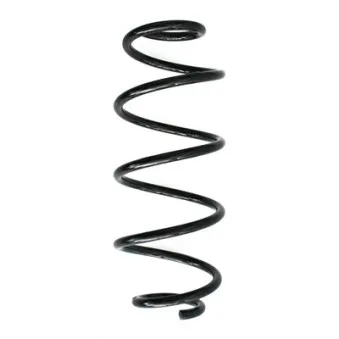 Ressort de suspension SPIDAN OEM 5102N0