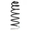 SPIDAN 86716 - Ressort de suspension