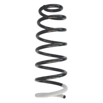 Ressort de suspension SPIDAN OEM 5102Q8