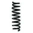 SPIDAN 86761 - Ressort de suspension
