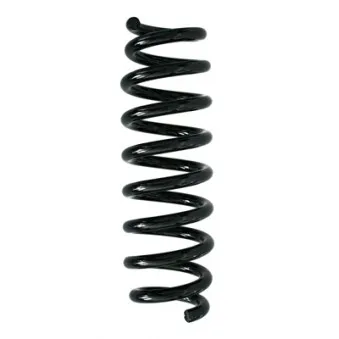 Ressort de suspension SPIDAN OEM 33536767345