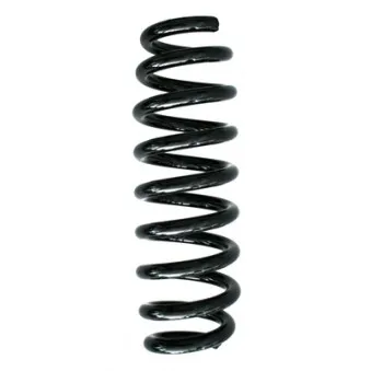 Ressort de suspension SPIDAN OEM 33536767347