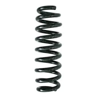 Ressort de suspension SPIDAN OEM 33536773597