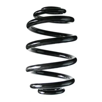 Ressort de suspension SPIDAN OEM 33536751233