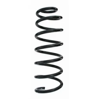 Ressort de suspension SPIDAN OEM 5102Z6