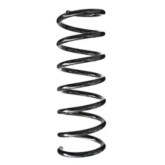 SPIDAN 86903 - Ressort de suspension