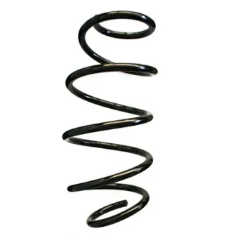Ressort de suspension SPIDAN OEM 31336787137