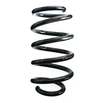 Ressort de suspension SPIDAN OEM 6001550902