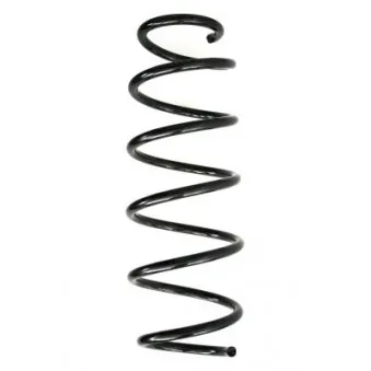Ressort de suspension SPIDAN OEM 1608352680