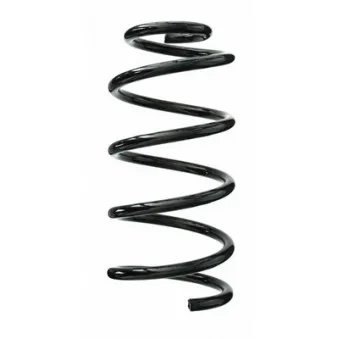 Ressort de suspension SPIDAN 87019
