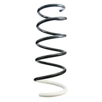 Ressort de suspension SPIDAN OEM 540101922R