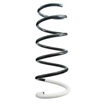 Ressort de suspension SPIDAN OEM 540105167R