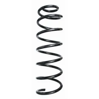 Ressort de suspension SPIDAN OEM 5102AE