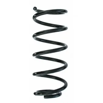 Ressort de suspension SPIDAN OEM 33536777197