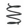 SPIDAN 87266 - Ressort de suspension