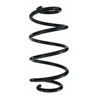 Ressort de suspension SPIDAN OEM A2463242404