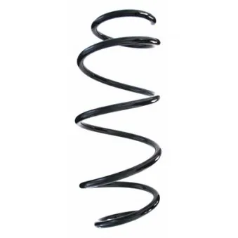 Ressort de suspension SPIDAN OEM 2043210504