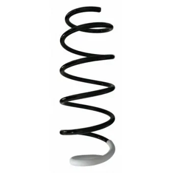 Ressort de suspension SPIDAN OEM 500436
