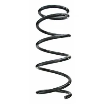 Ressort de suspension SPIDAN 87447