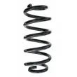 SPIDAN 87454 - Ressort de suspension