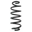 Ressort de suspension SPIDAN [87472]