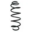 SPIDAN 87516 - Ressort de suspension