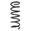 SPIDAN 87565 - Ressort de suspension